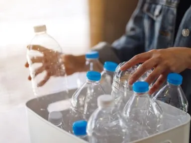 Plastic Bottles Everywhere: Get Clean Water, Stop Waste!